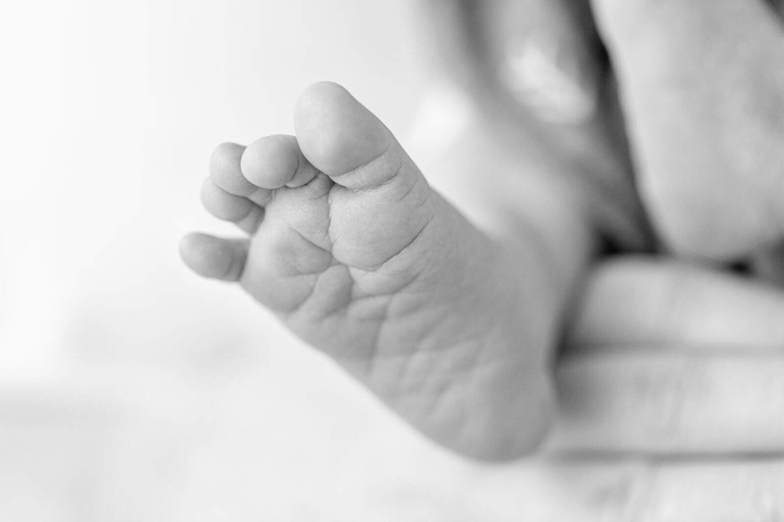 b/w image of baby foot