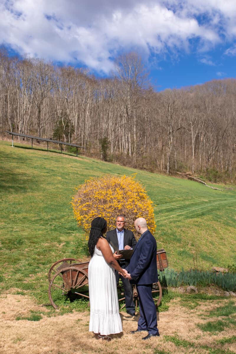 Spring Nashville Elopement at Butterfly Hollow; bride and groom stand in front of farm wagon, yellow forsythia bush and hilly landscape