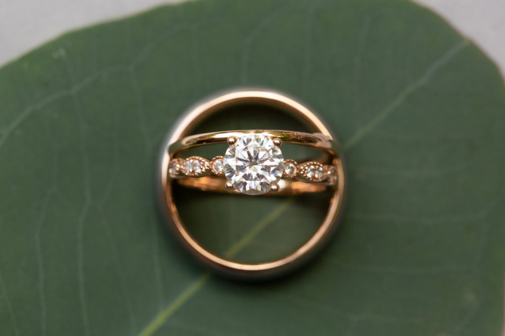 Wedding rings on eucalyptus leaf